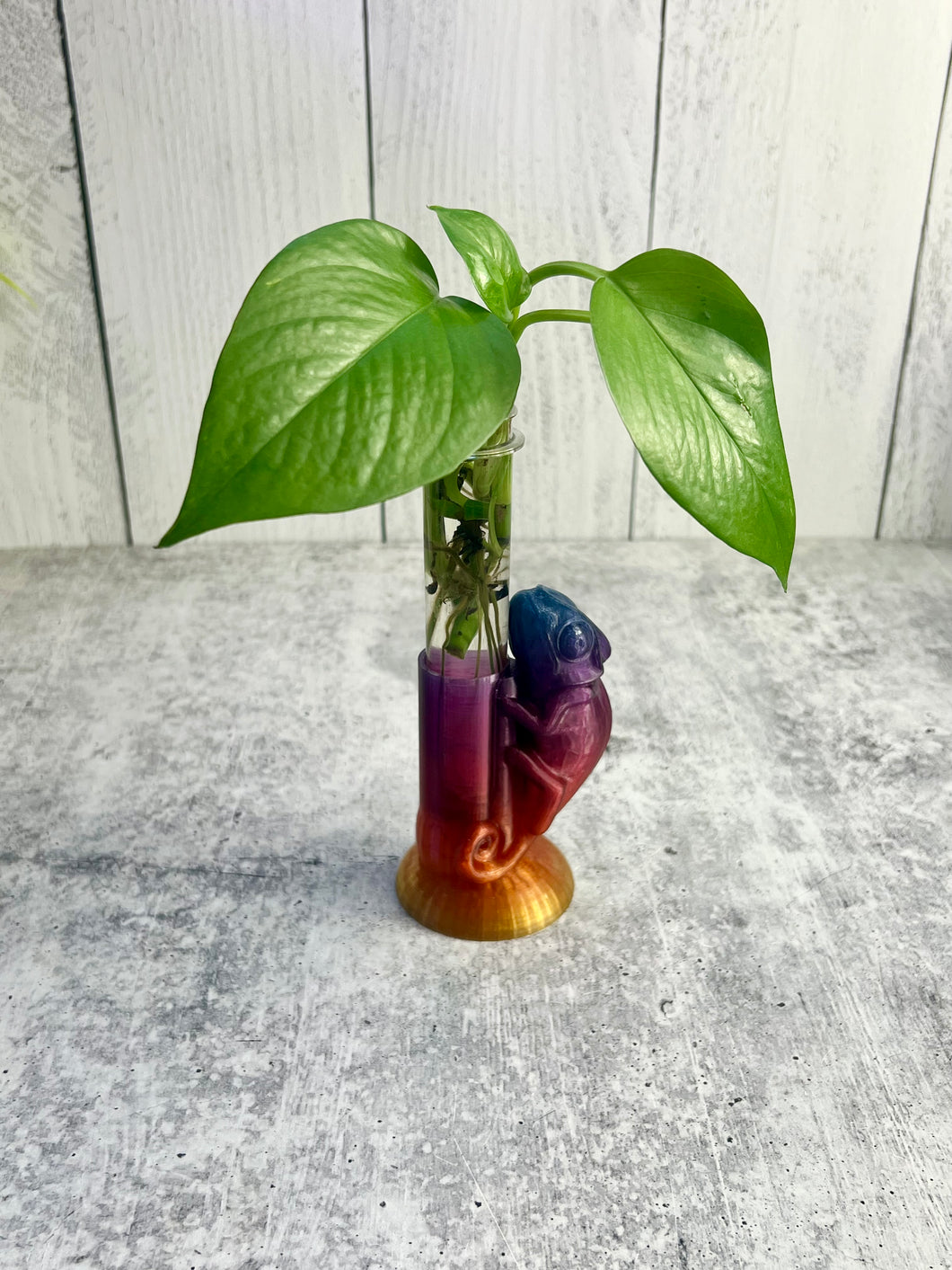 Chameleon Single Tube Propagation Plant Stand - 3D Print - Propagation Station - Bud Vase