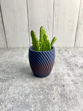 Load image into Gallery viewer, Succulent / Cactus 3D Printed Pot - Home Decor