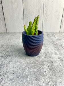 Succulent / Cactus 3D Printed Pot - Home Decor