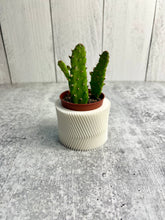 Load image into Gallery viewer, 3D Printed Plant Pot - Indoor Pot for Plant - Planter - Home Decor