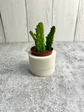 3D Printed Plant Pot - Indoor Pot for Plant - Planter - Home Decor