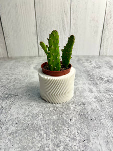 3d printed plant pot 3D Printed Plant Pot - Indoor Pot for Plant - Planter