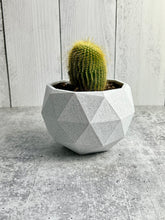 Load image into Gallery viewer, 3D Printed Plant Pot - Indoor Pot for Plant - Planter - Home Decor