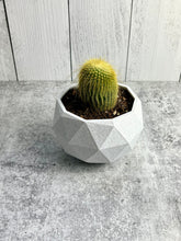 Load image into Gallery viewer, 3D Printed Plant Pot - Indoor Pot for Plant - Planter - Home Decor