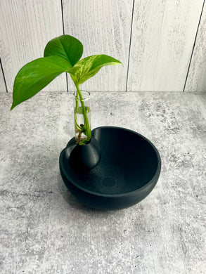 3D Printed Catch All Bowl with Propagation Stand - Bud Vase - Key Bowl
