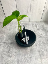 Load image into Gallery viewer, 3D Printed Catch All Bowl with Propagation Stand - Bud Vase - Key Bowl