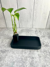 Load image into Gallery viewer, 3D Printed Catch All Bowl with Propagation Stand - Bud Vase - Key Bowl