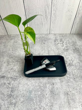 Load image into Gallery viewer, 3D Printed Catch All Bowl with Propagation Stand - Bud Vase - Key Bowl